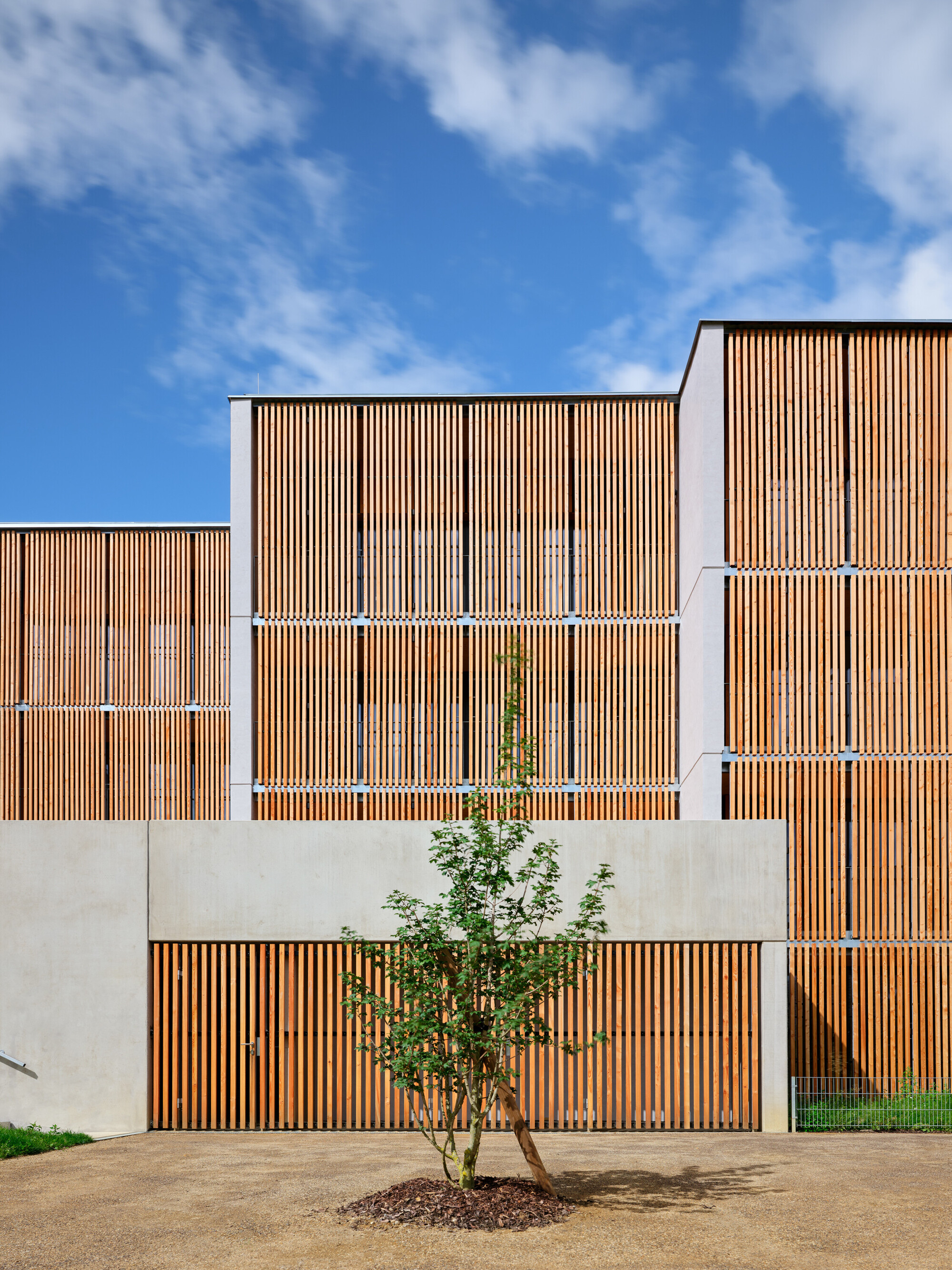 兹达尔木制房屋丨捷克丨Kuba & Pilar architekti-27