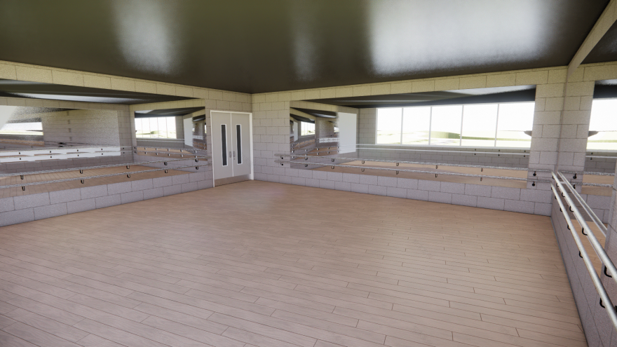 巴加齐人类发展中心-7