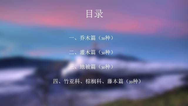 秋凌景观陪伴你学习的第3128天-1