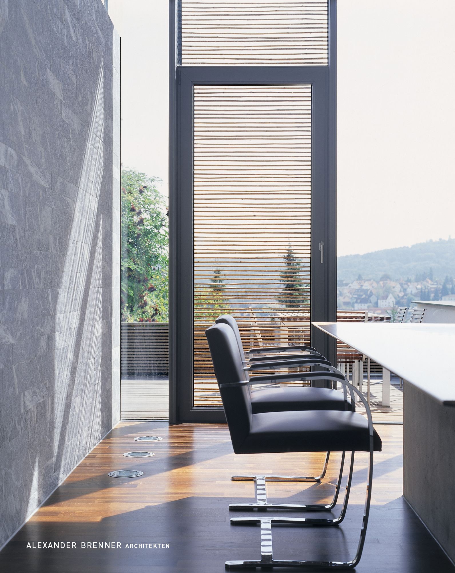 House Miki 1 Alexander Brenner Architects-8