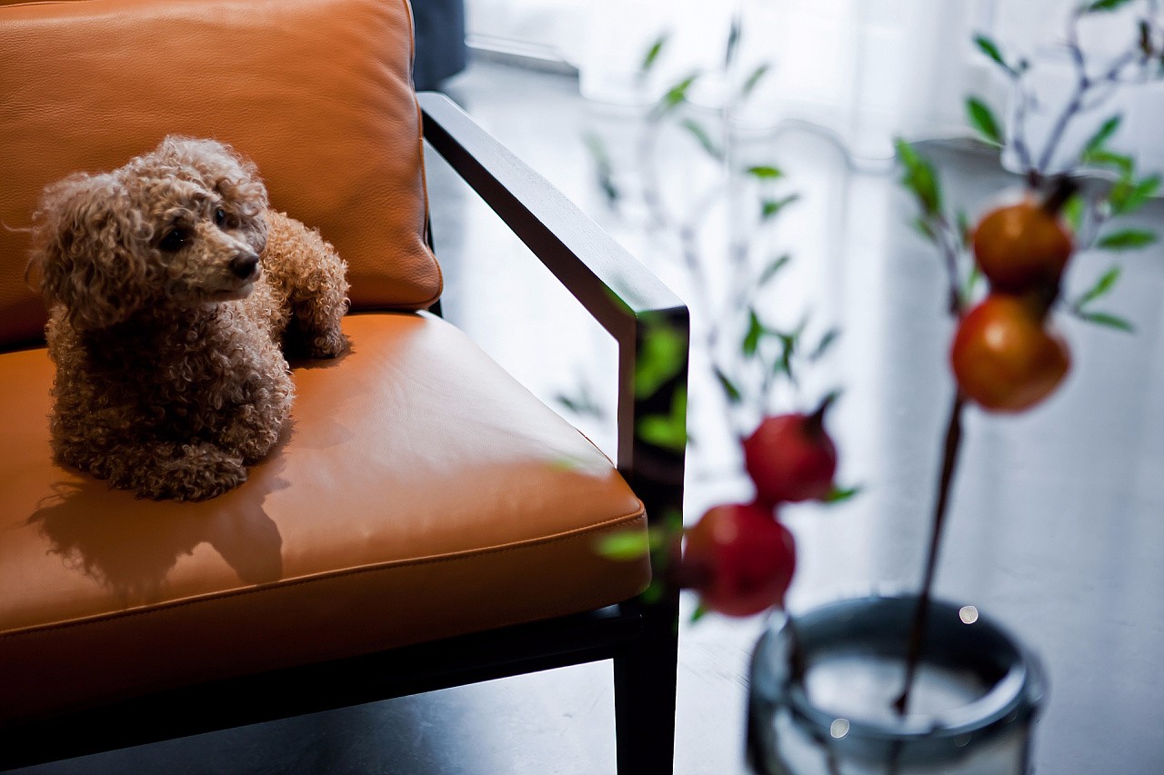 了不起的高级黑——160m²东方福邸  罗晓设计-3