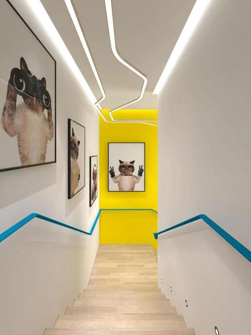 FURY宠物生活馆-11