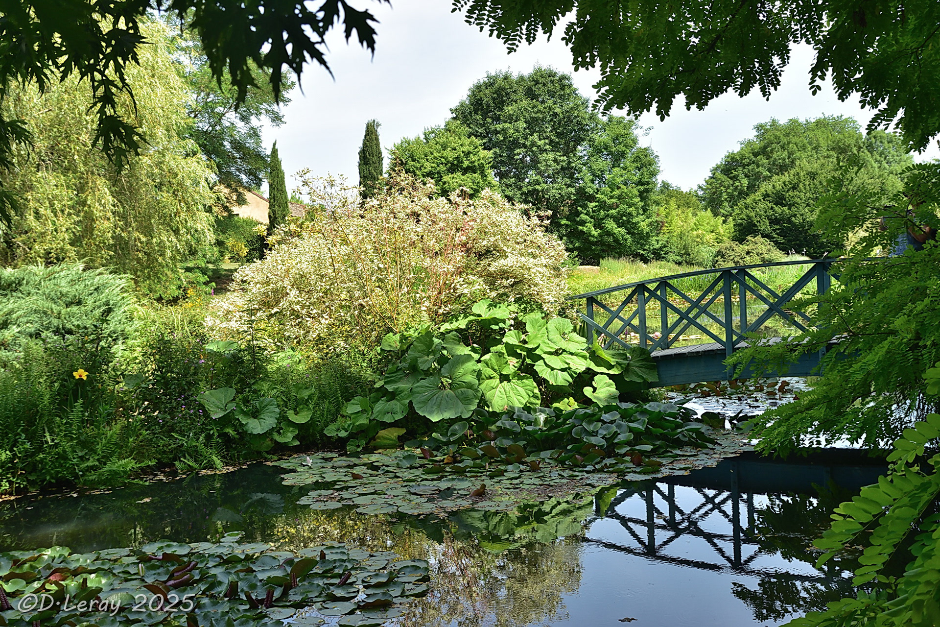 Jardins d'eau Carsac Aillac (24)-9