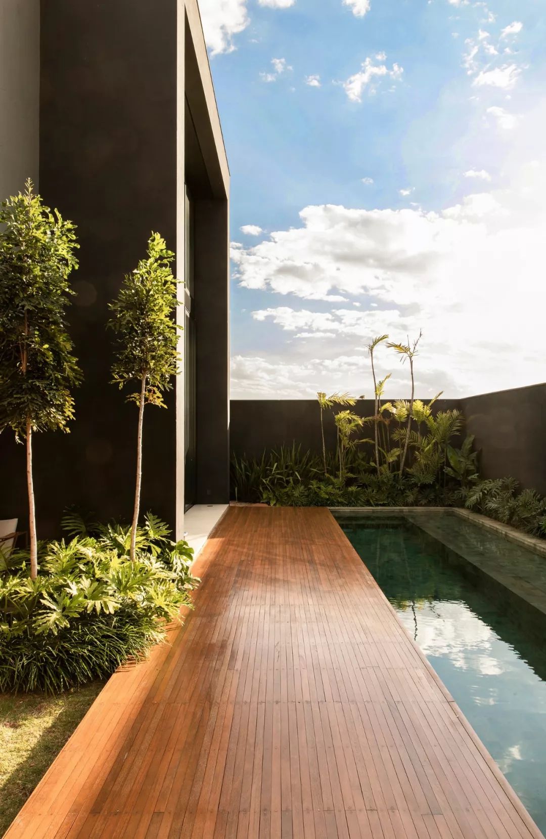 MF+ Architects | 自然与纯粹的现代空间-9