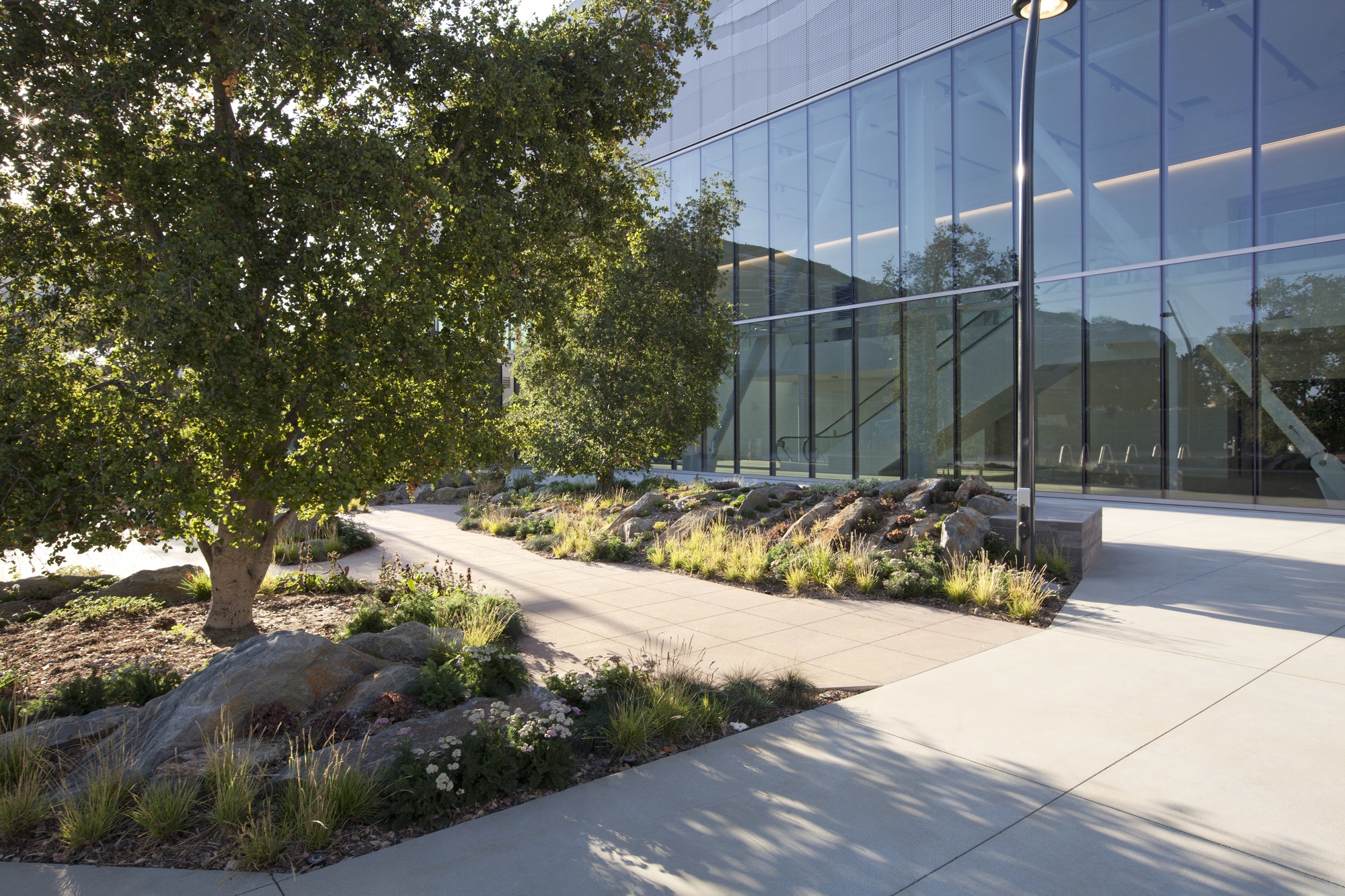 NHM Commons Museum Wing and Community Hub / Frederick Fisher and Partners-18