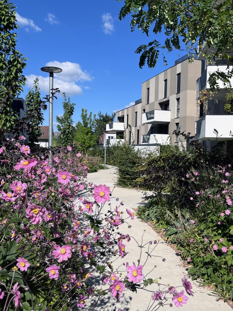 Karin Standler Landschaftsarchitektur丨Wohnpark Csokorgasse丨奥地利-8