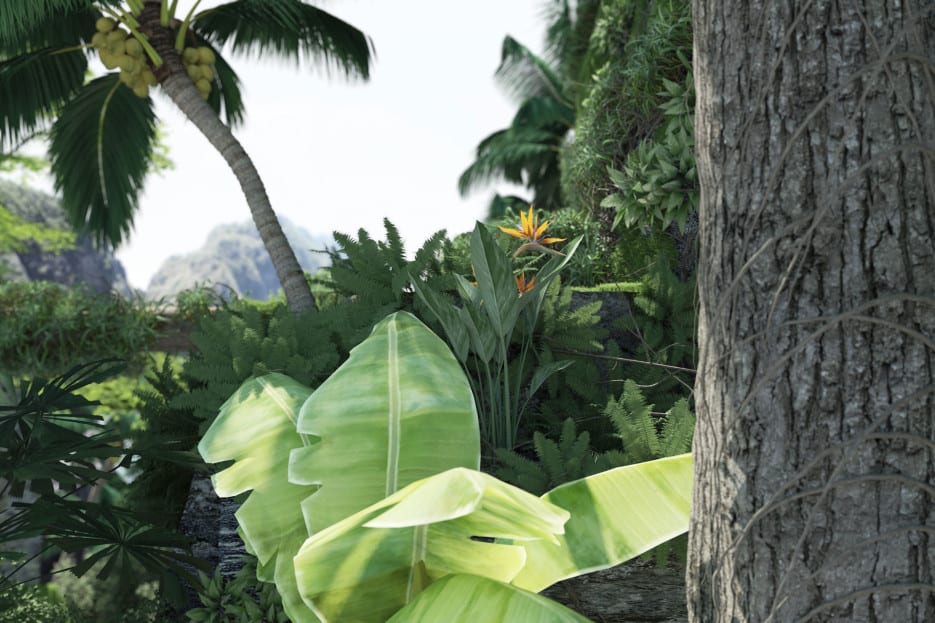 BIRDS OF PARADISE - Ando Studio-3