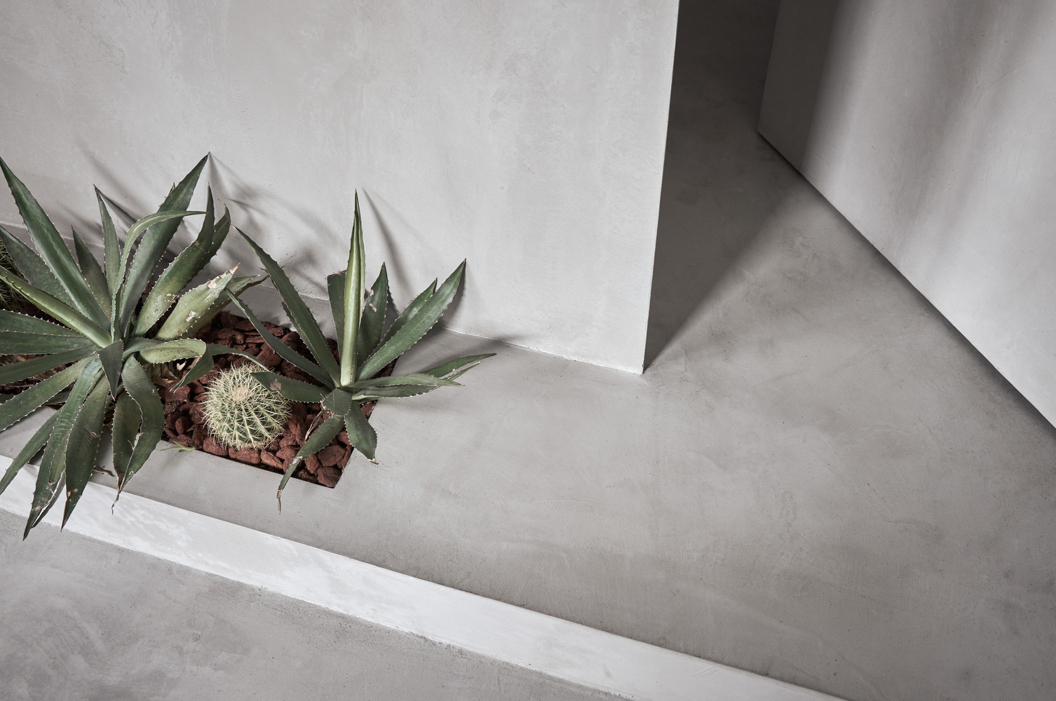 台湾The Platypus 咖啡店-6