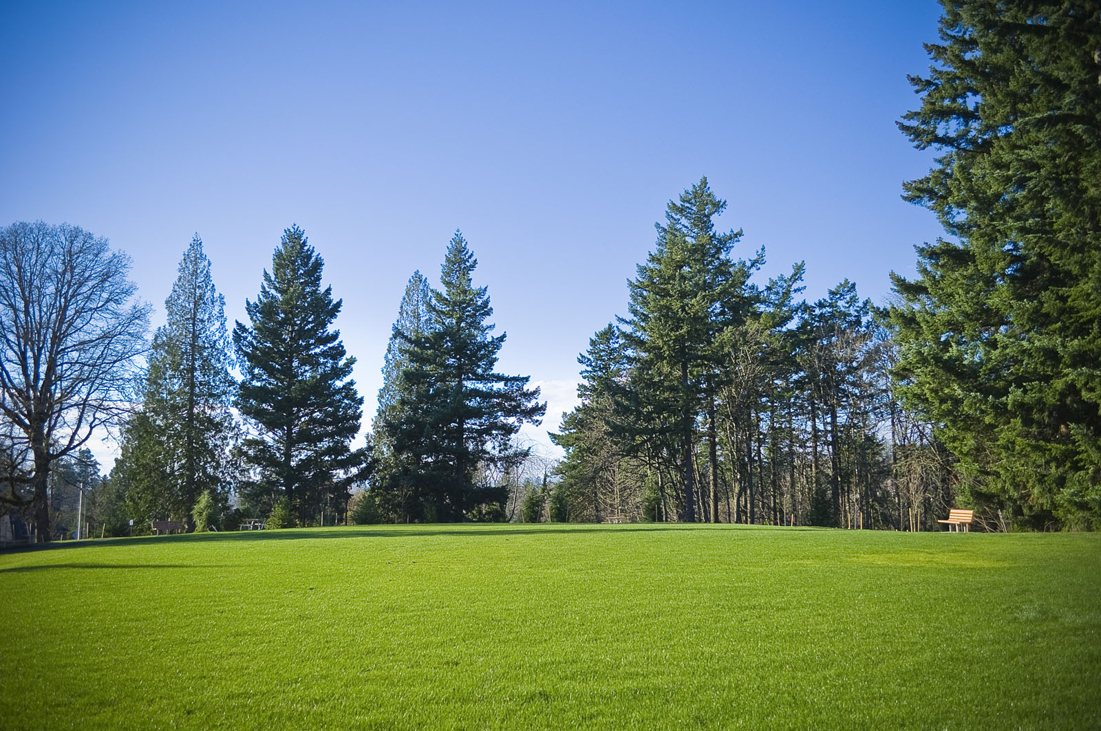 杰基胡森公园丨俄罗斯图拉丨2.ink 工作室-8