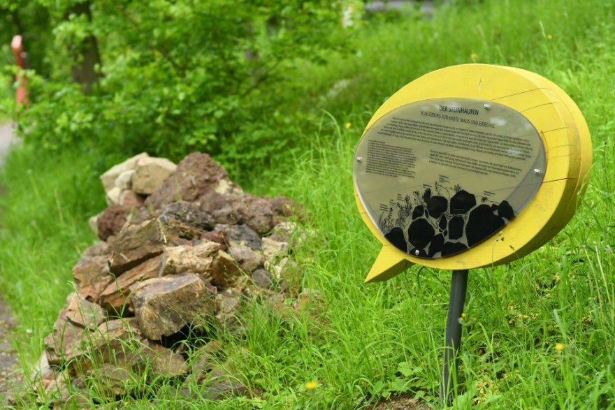 埃尔福特艾格公园知识森林丨德国丨德国雷瓦德景观建筑事务所-103