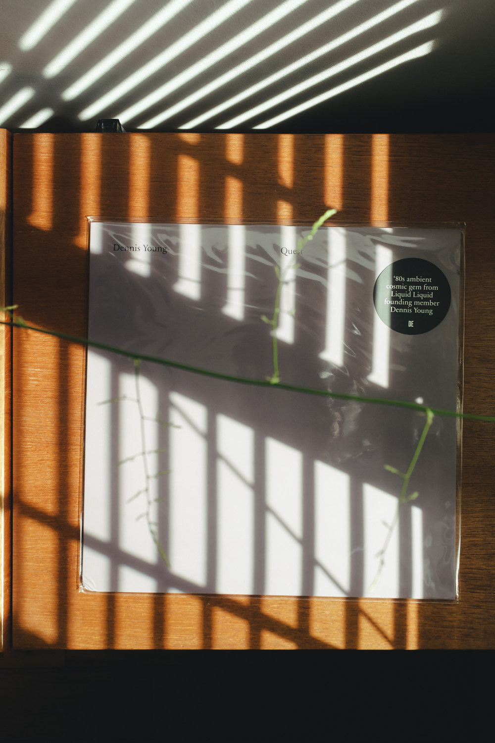 疫情下的居家生活 | 小空间里的大乐趣-18