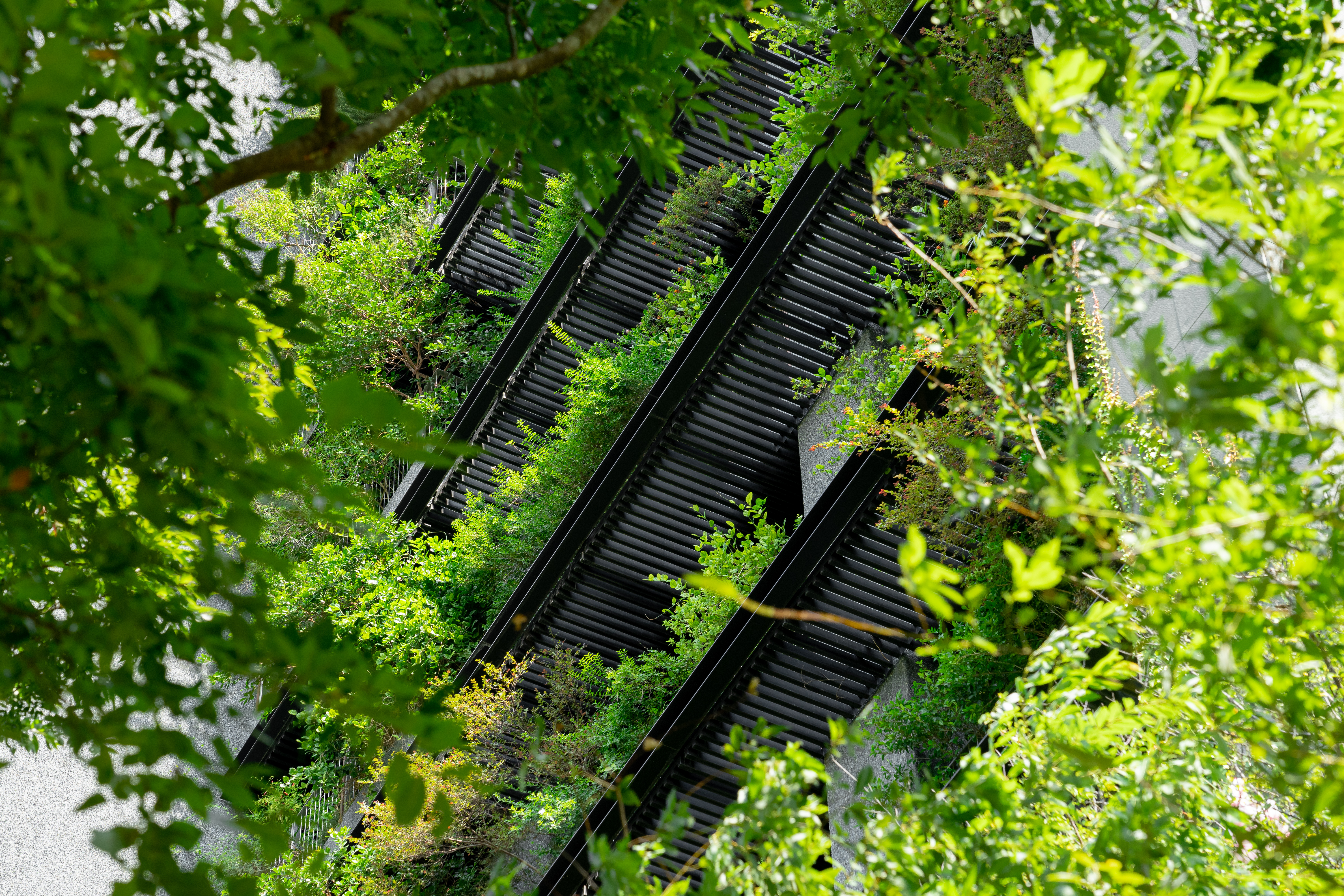 若山公寓丨半畝塘-6