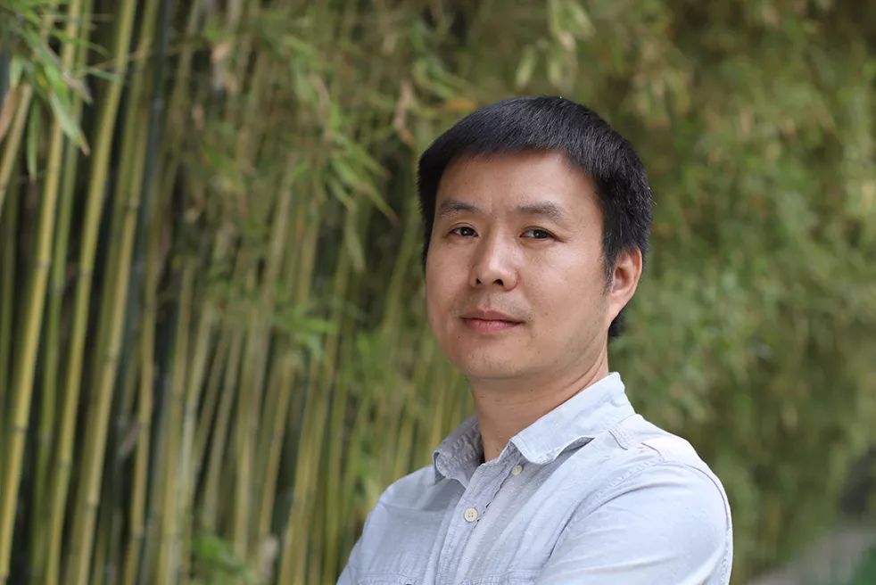 壁画系教师朱景华为浙江东阳二中设计校史文化墙-29