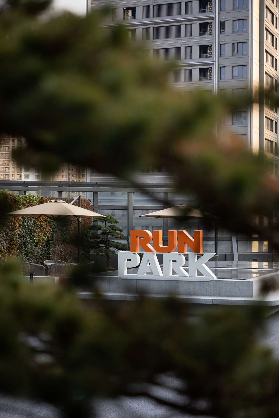 一席光影，半卷山水：空间内外的静谧美学-39