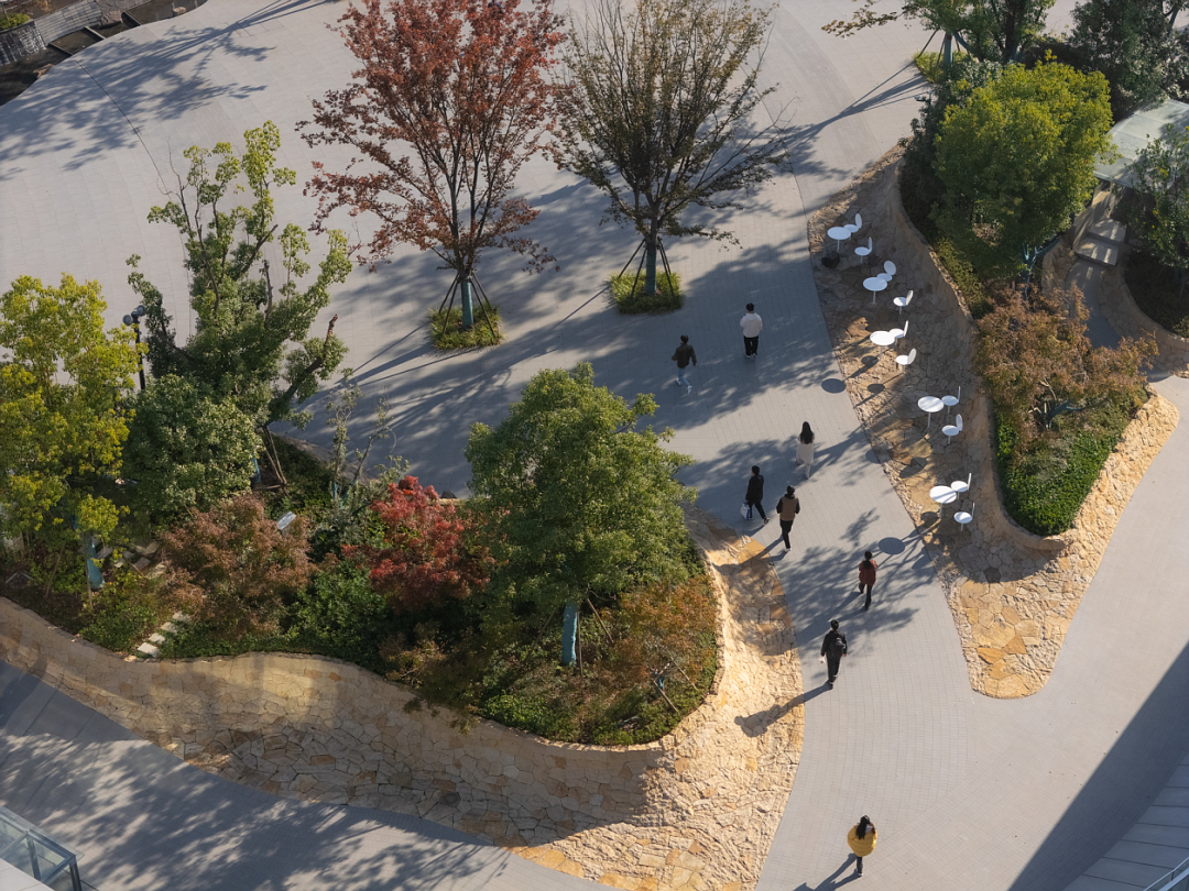 阿里巴巴南湖未来科学园丨中国杭州丨阿普贝思UP+S-98