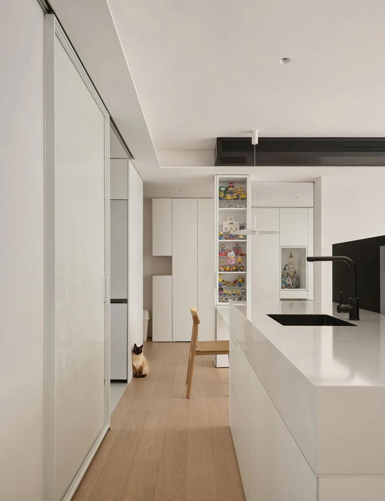 FF空间设计 · 人宠共居的极简宅-15