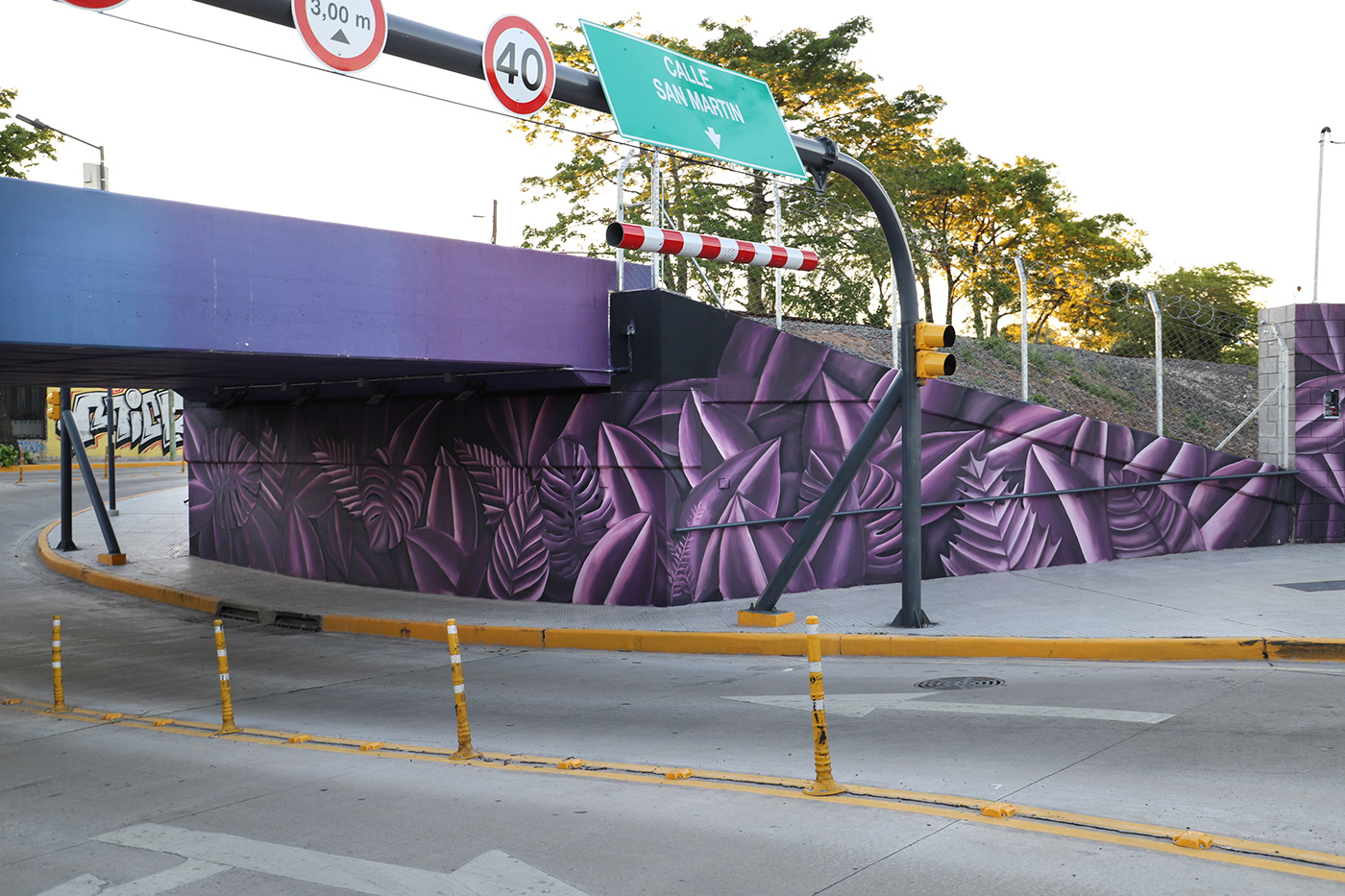 2019 年阿根廷布宜诺斯艾利斯城市艺术隧道干预-1