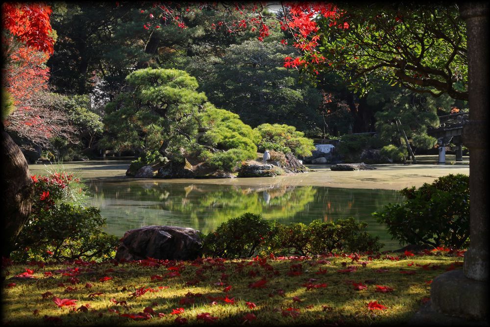 京都御所（京都皇宫）丨日本京都-17