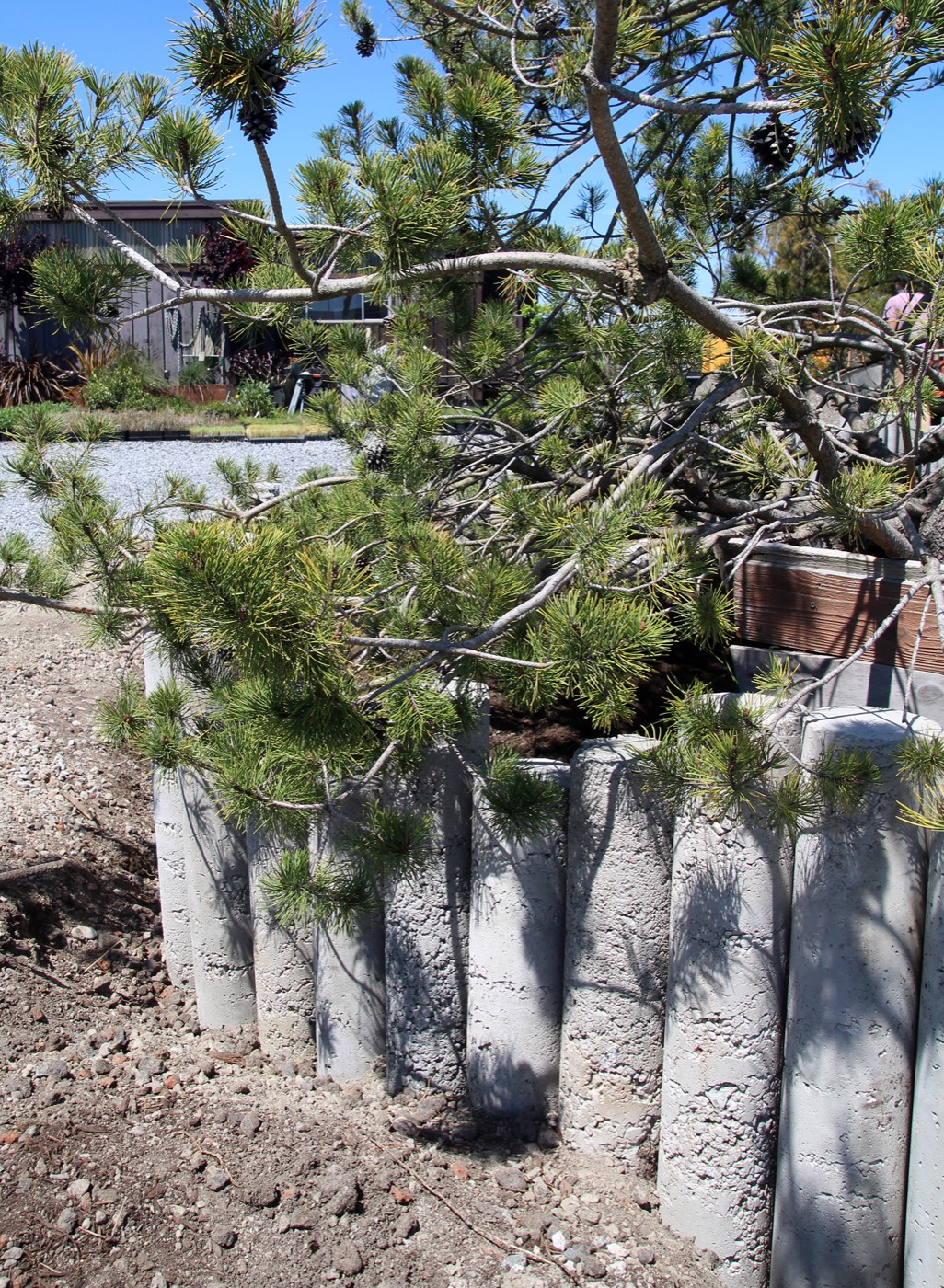 加州海滨波西米亚风 Varda Landing 社区景观设计丨美国加利福尼亚丨Terremoto-26