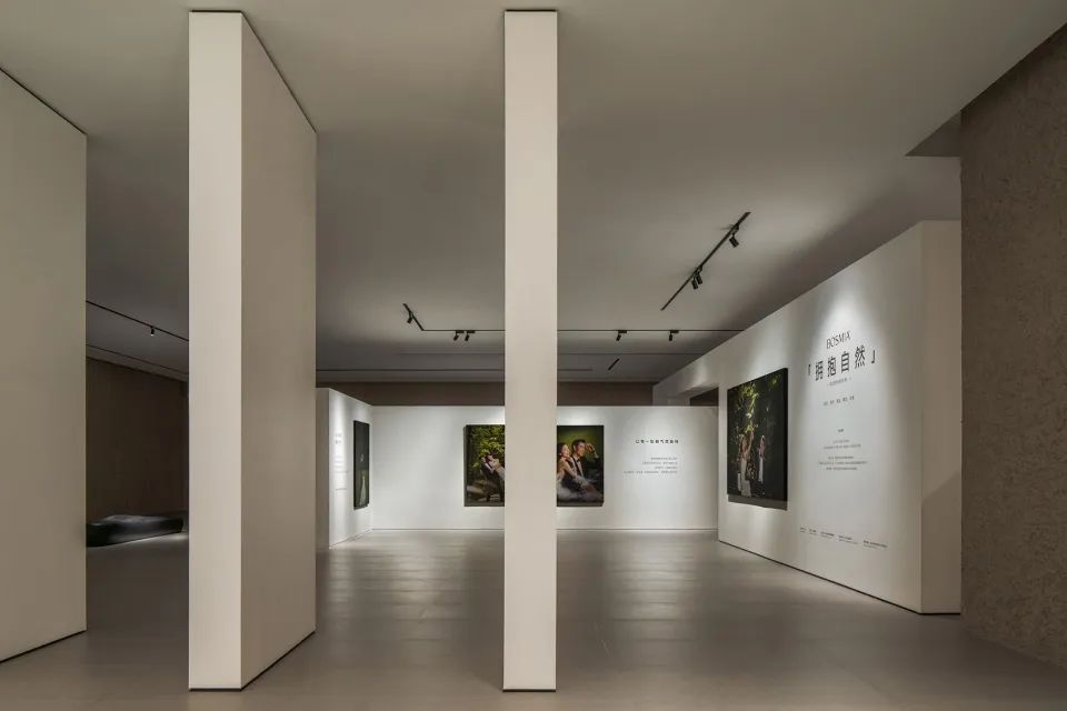 Comico 美术馆由布院新馆丨日本丨隈研吾建筑都市设计事务所-121