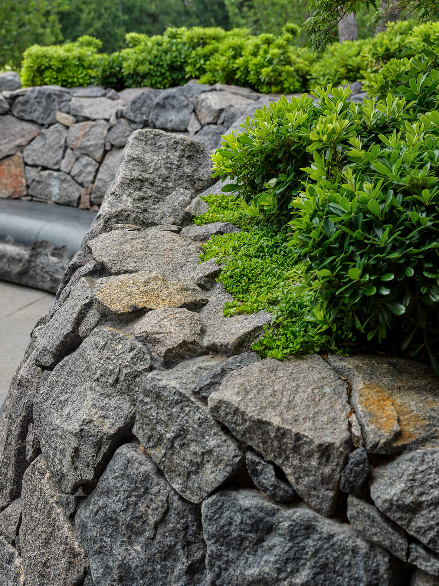 霍克情侣巷（情侣巷）丨美国达拉斯丨Droese Raney（建筑）,Laura Kirar（室内）-16