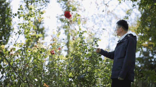 天津教授造神秘住宅:全年不花一分钱水电费,中国首例-107