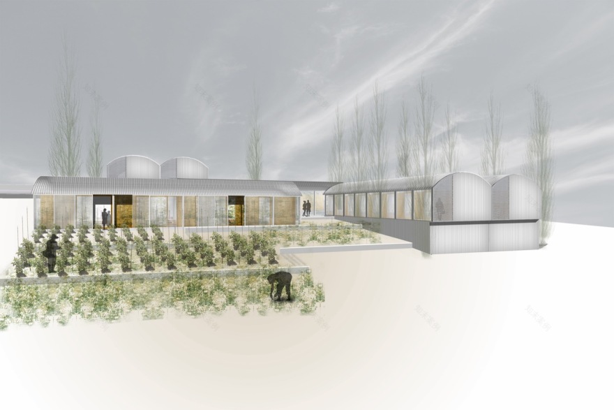 Psychopedagogical Medical Center Comas-49