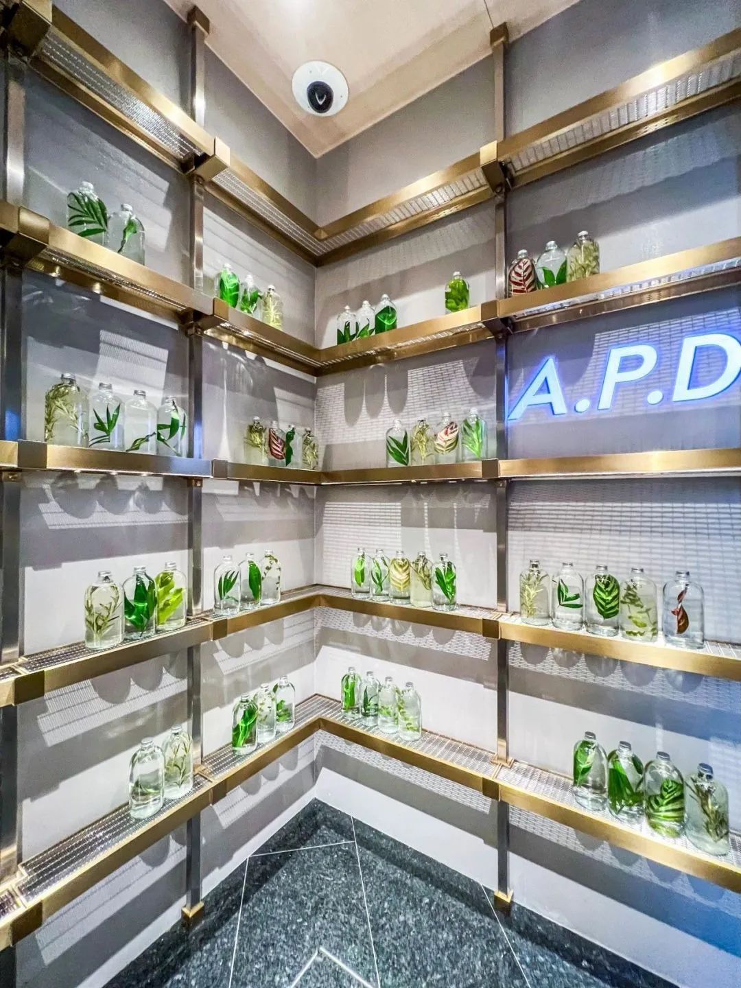 澳门新濠影汇W酒店丨中国澳门丨扎哈事务所-39