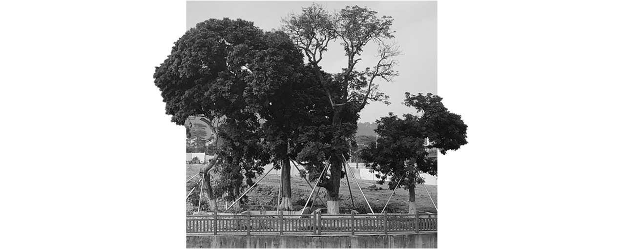 华润·润樾山花园丨中国深圳丨李益中空间设计-6