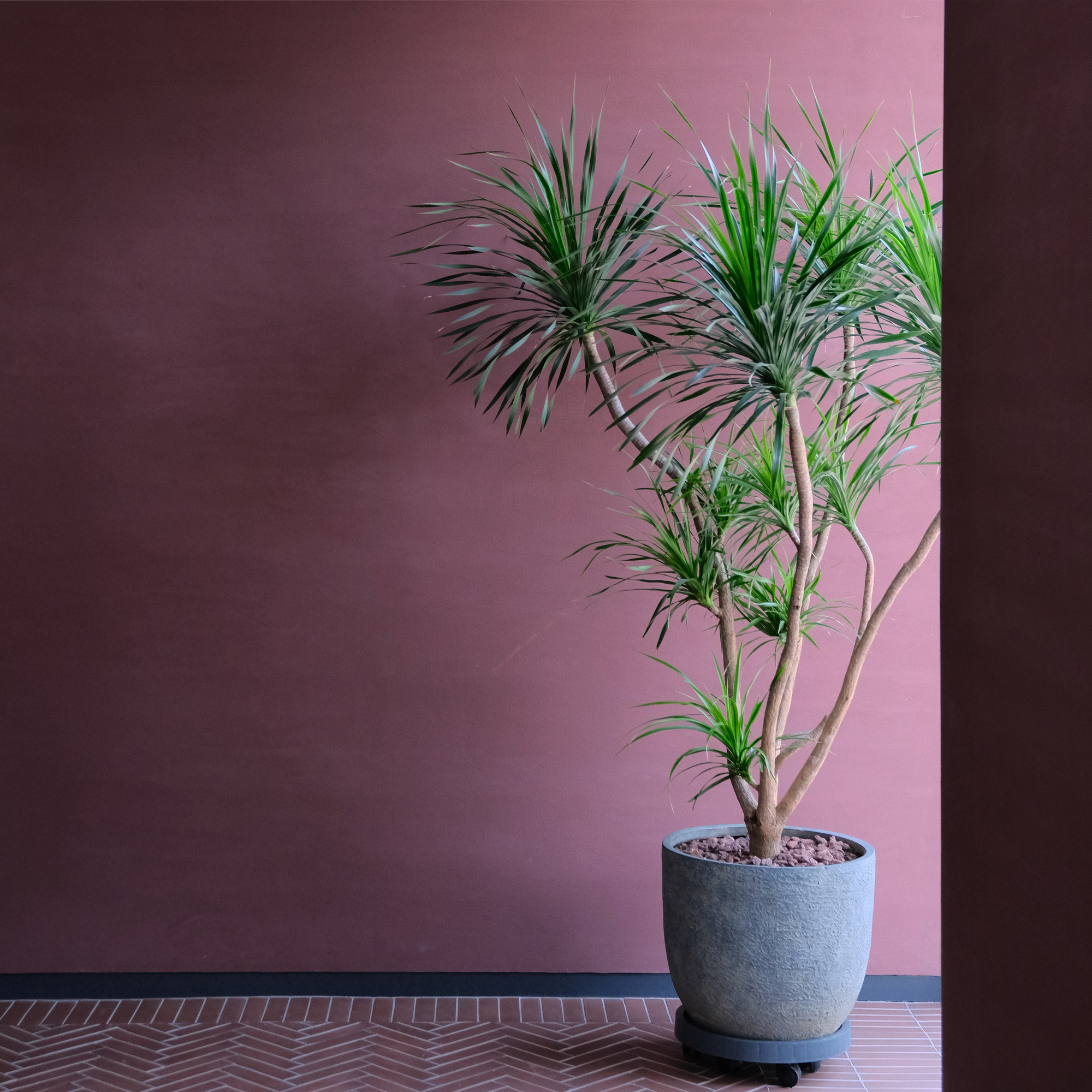 黄龙山脉·紫砂矿源博物馆丨中国无锡丨东南大学建筑学院+Atelier XÜK-25