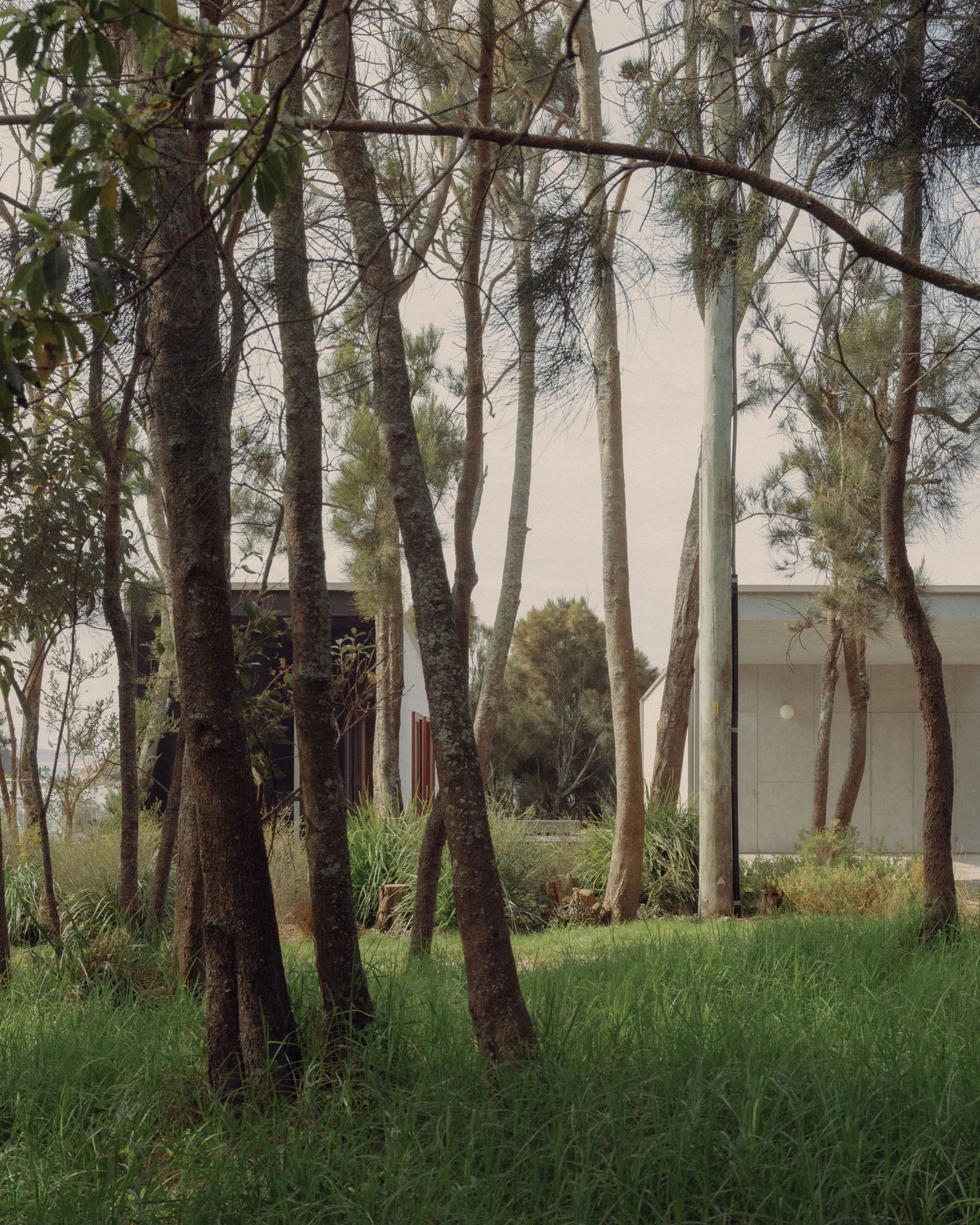 游击湾屋丨澳大利亚新南威尔士丨Kerstin Thompson Architects-18