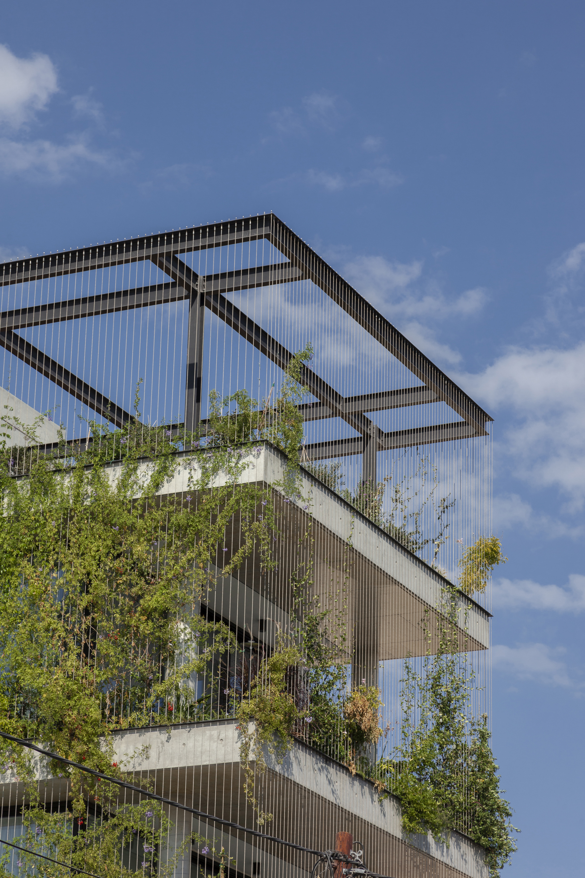 城市花园丨塞浦路斯丨Loizou Architects + Associates-20