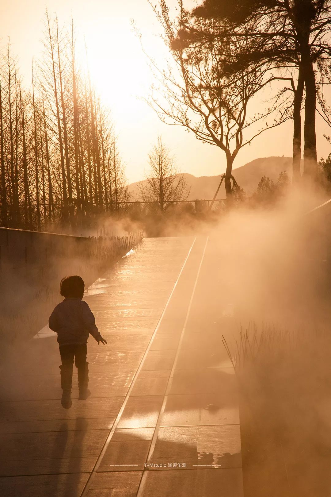 南京弘阳金辉·时光悦府 | 自然与设计的和谐共生-71