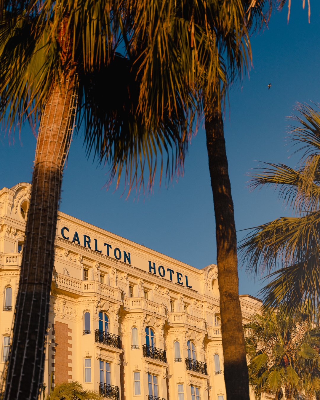 Carlton Cannes — Tristan Auer-23