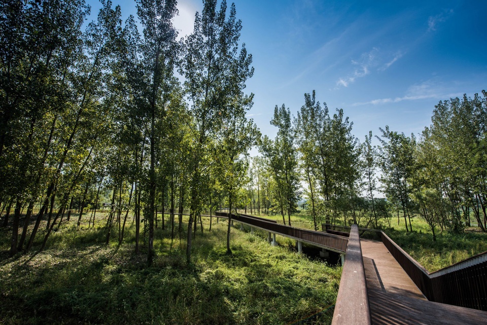 宜昌黄柏河湿地公园丨中国宜昌丨杭州园林设计院股份有限公司-84