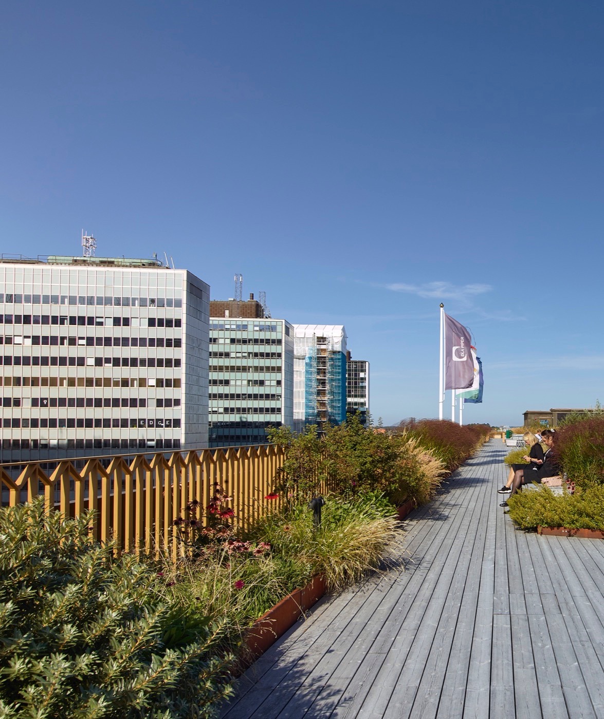 斯德哥尔摩绿色屋顶建筑塞尔格尔豪森丨瑞典斯德哥尔摩丨Karavan-9