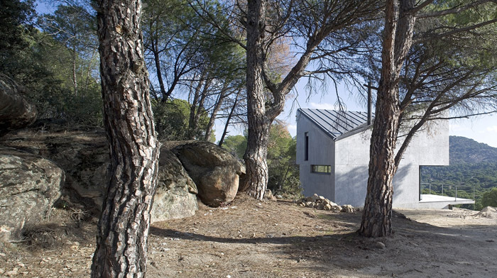 NM 宅 | 混凝土与木质的生态对话-13