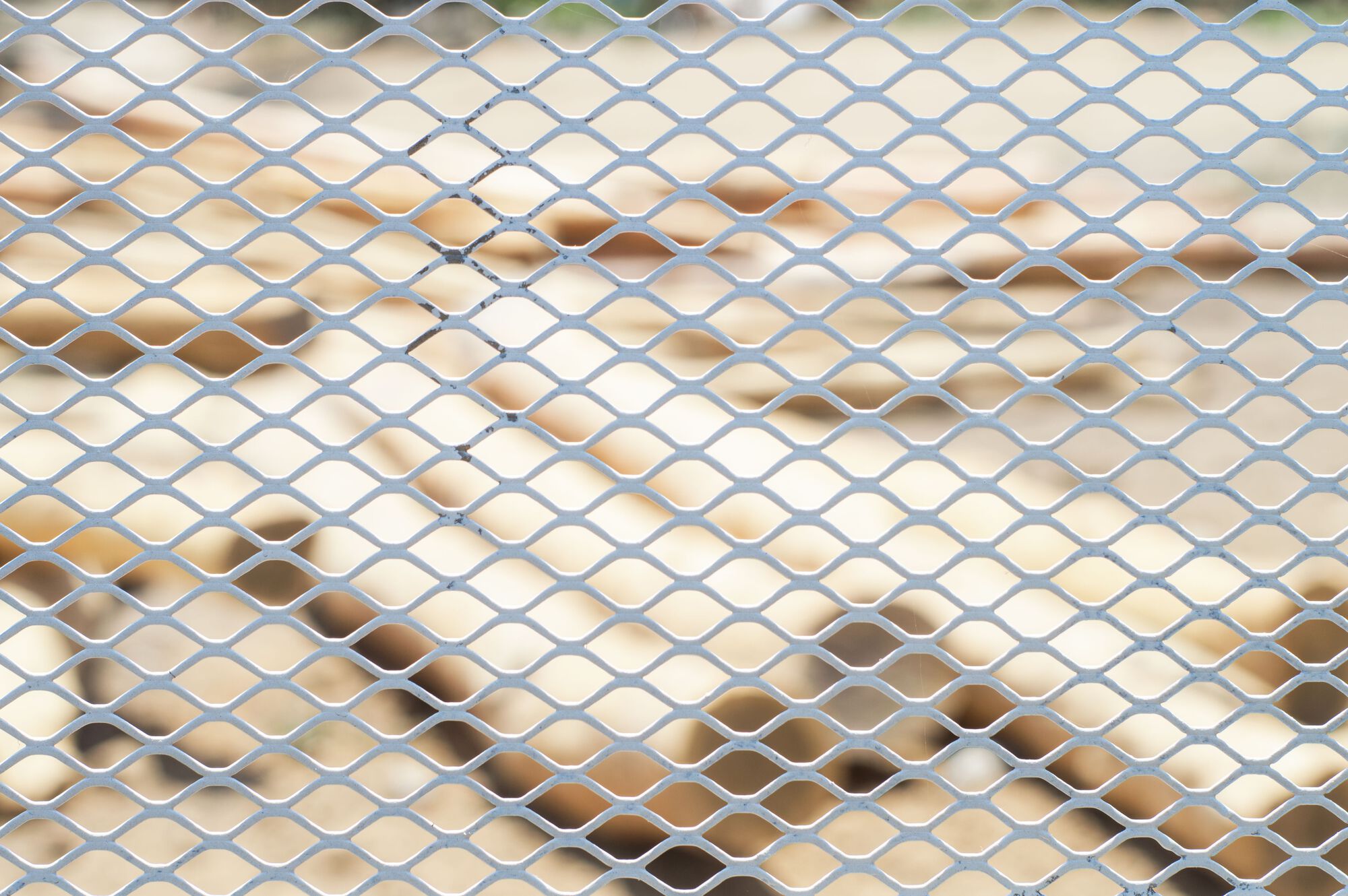 巴拉哈斯住宅丨墨西哥丨Nomic-30