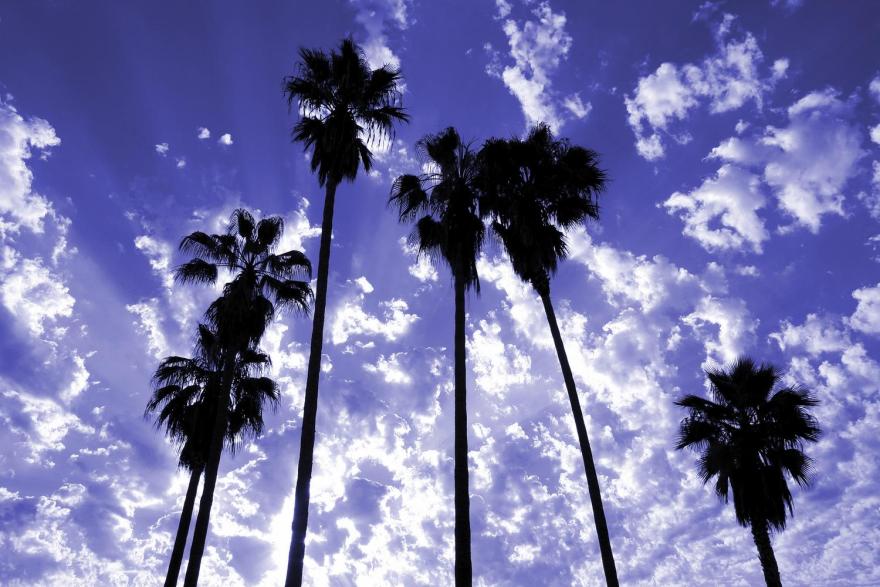 )Le Parker Méridien Palm Springs, Palm Springs, California (CA), United States-26