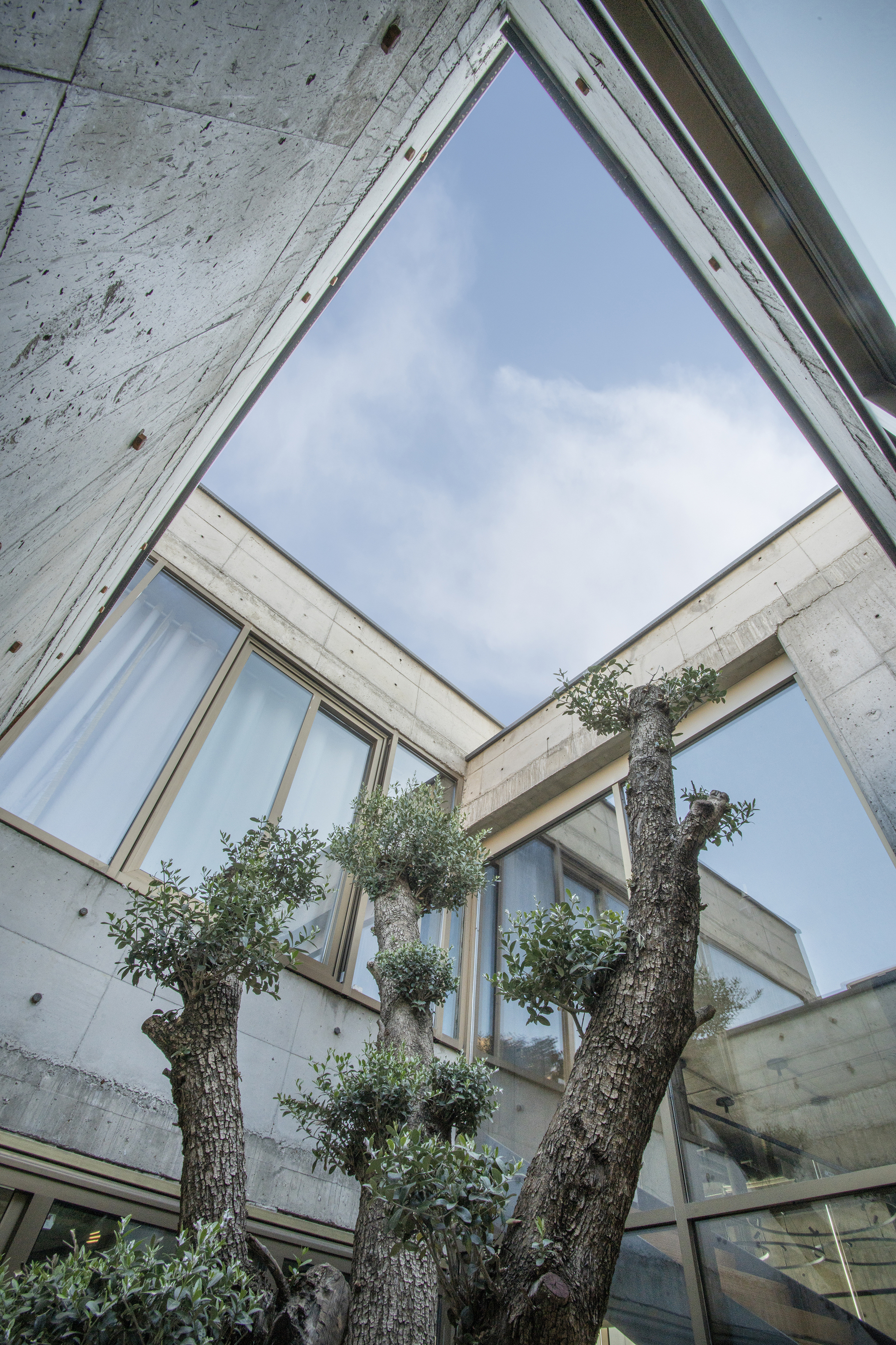 巴格沙赫尔别墅丨伊朗丨Experience Studio-29