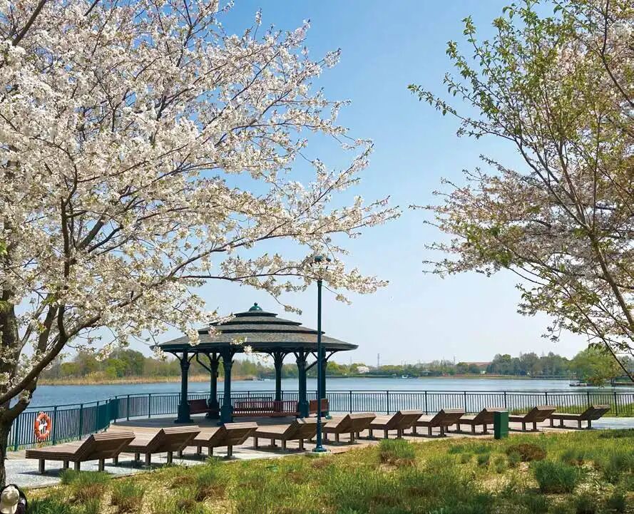 勝地|到公园去探探“动静”！-4