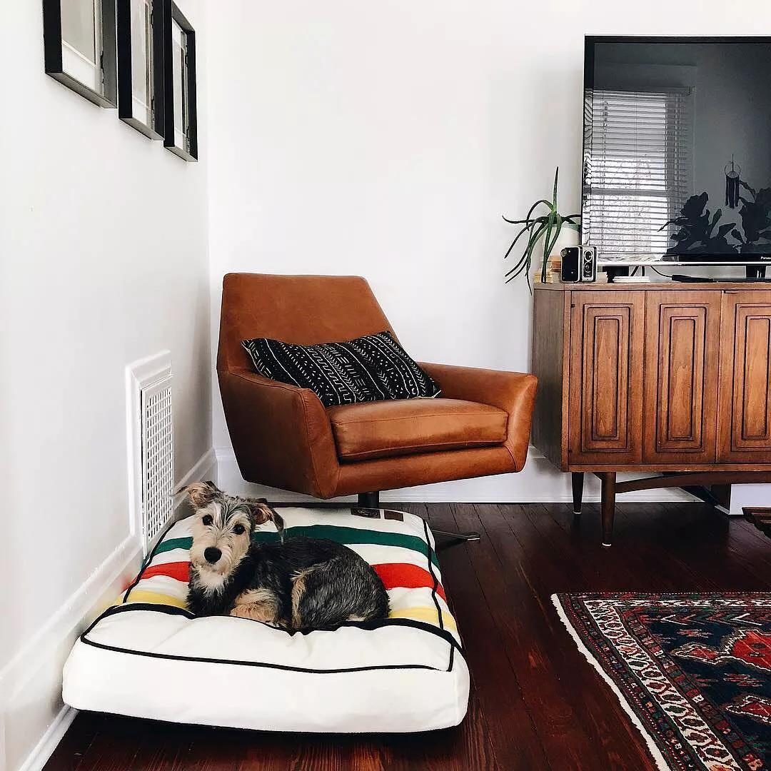 新年准备入驻新主子了？给你复制一份贴心方法-10