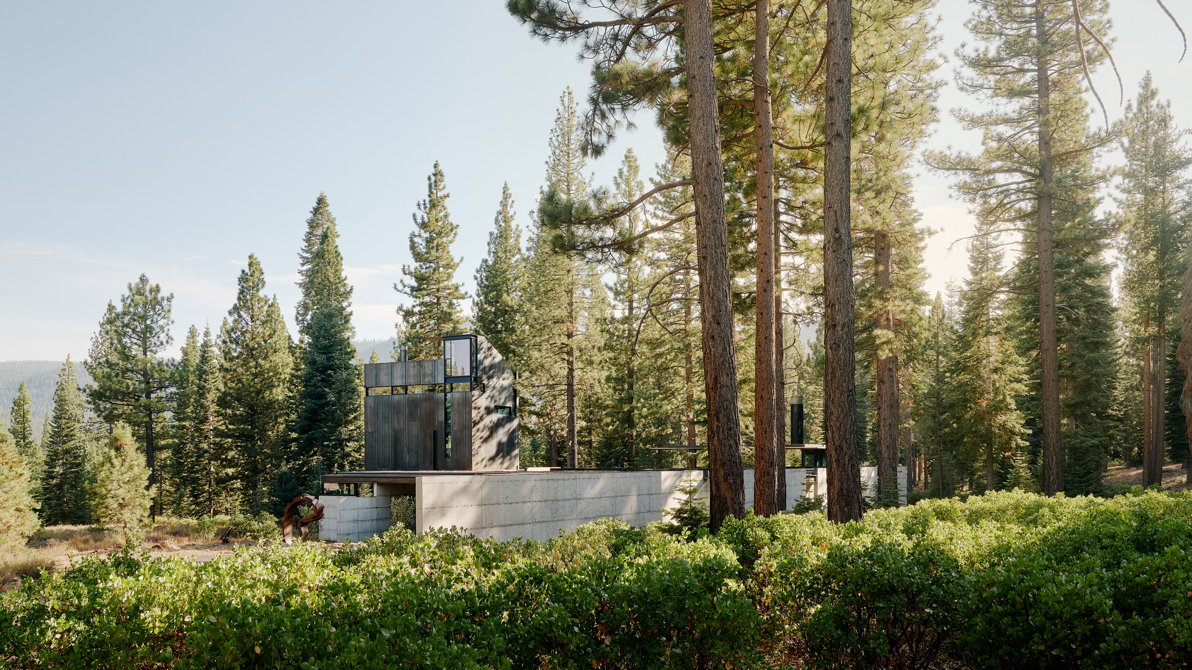 "建筑大师 Tom Kundig 为 Faulkner Architects 创始人打造加州森林中的钢铁树屋"-0
