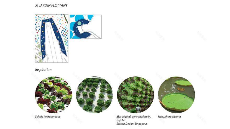 弗拉恩·城市菜园-14
