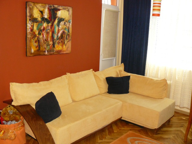 Преустроена Гарсониера（翻新的单身公寓）-4