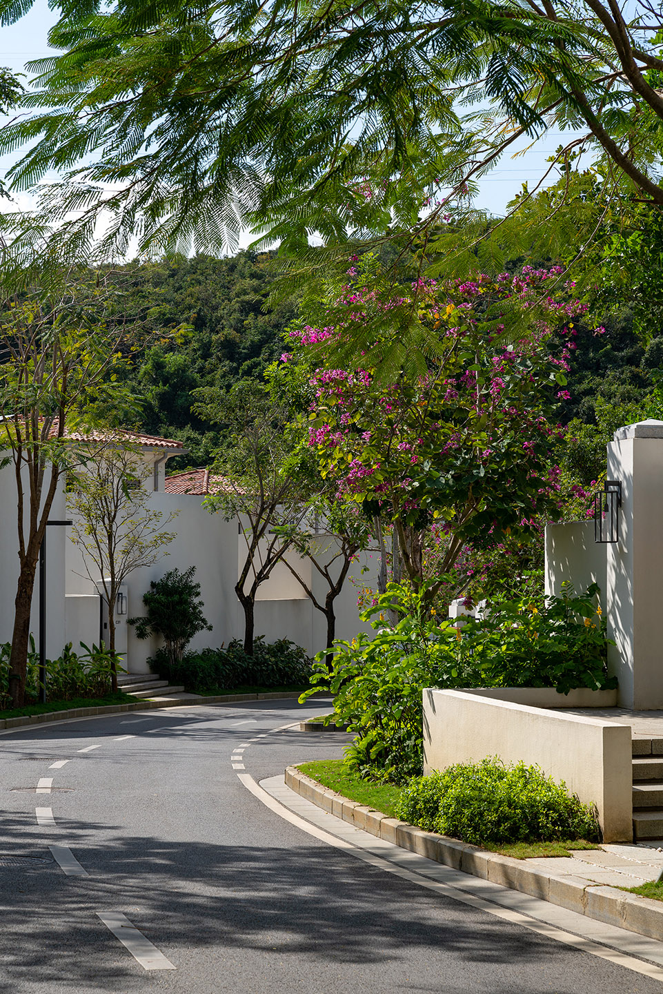 阿那亚三亚南花园丨中国三亚丨Z’scape致舍景观-302