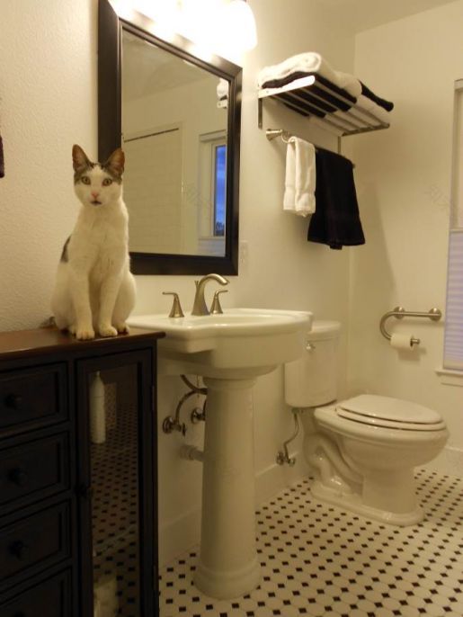 AFRIENDLYHOUSE农场住宅改造-38