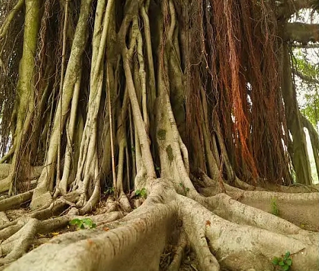 广东江门新会区南湖壹号花园营销中心丨中国江门-1