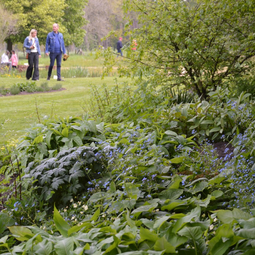 Grassentuin（草坪花园）等相关花园项目丨Chris Ghyselen（景观建筑师）-8