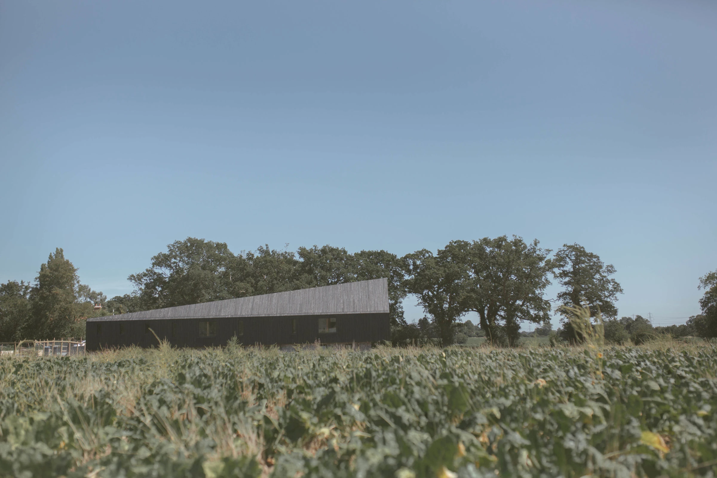 英国乡村环保住宅“黑 barn”-17